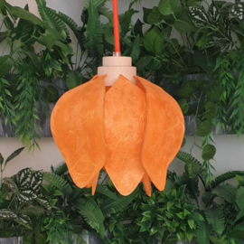 Tulp Hanglamp (pendant lamp)- kleur(colour): oranje/orange