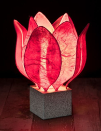 Tulp Lamp - kleur (colour): donker roze/dark pink