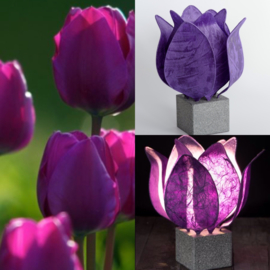 Tulp Lamp - kleur (colour): donker paars/dark purple