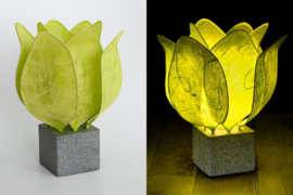 Tulp Lamp - kleur (colour): citroen groen/lime green