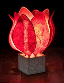 Tulp Lamp - kleur (colour): rood/red