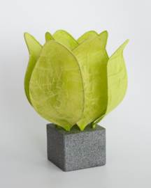 Tulp Lamp - kleur (colour): citroen groen/lime green