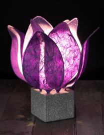 Tulp Lamp - kleur (colour): donker paars/dark purple