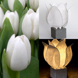 Tulp Lamp - kleur (colour): wit/white