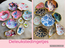 Maak een mooie schelpenset