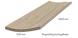 Buigtriplex langsfineer