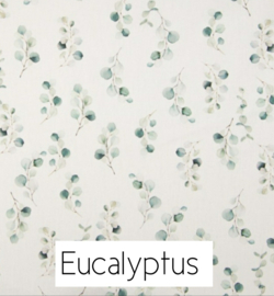 Eucalyptus Tricot