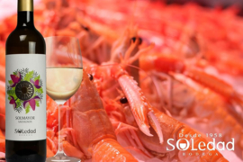 Solmayor Sauvignon Blanc 2015