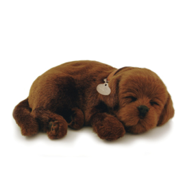 Perfect Petzzz hondje Labrador chocolade bruin