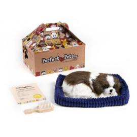 Perfect Petzzz hondje Shih Tzu