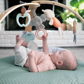 Babygym activity Loamy Ingenuity