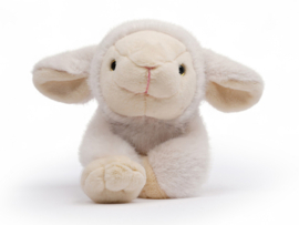 Licht verzwaarde knuffel lammetje 'Daisy' One Love