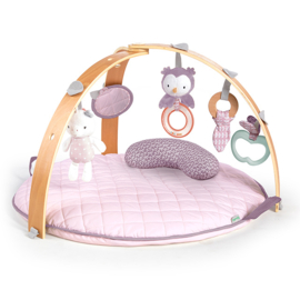 Babygym activity Calla Ingenuity