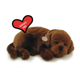 Perfect Petzzz hondje Labrador chocolade bruin