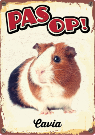 Waakbord Pas op! Cavia