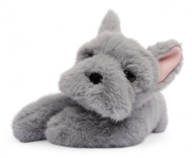 Licht verzwaarde knuffel Franse bulldog 'Remy' One Love