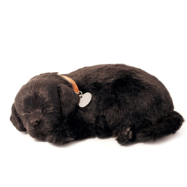 Perfect Petzzz hondje labrador zwart