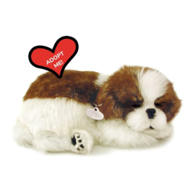 Perfect Petzzz hondje Shih Tzu