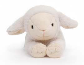 Licht verzwaarde knuffel lammetje 'Daisy' One Love