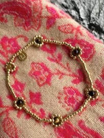 Tiger eye flowers