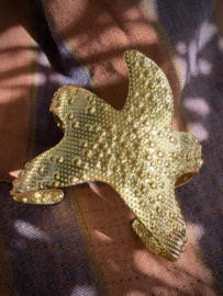 Seastar bracelet