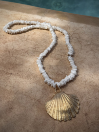 Coral necklace shell