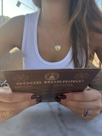 Heart necklace long