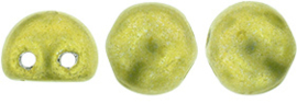 cm-2h049 ColorTrends:Saturated Metallic Primrose Yellow (14st.)
