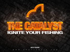 SpottedFin Catalyst Natural Pop Up