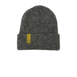 Avid Beanie Graphite