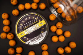 Forgotten Flavours Scopex Hard Hookbait