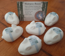Shampoo Bunny