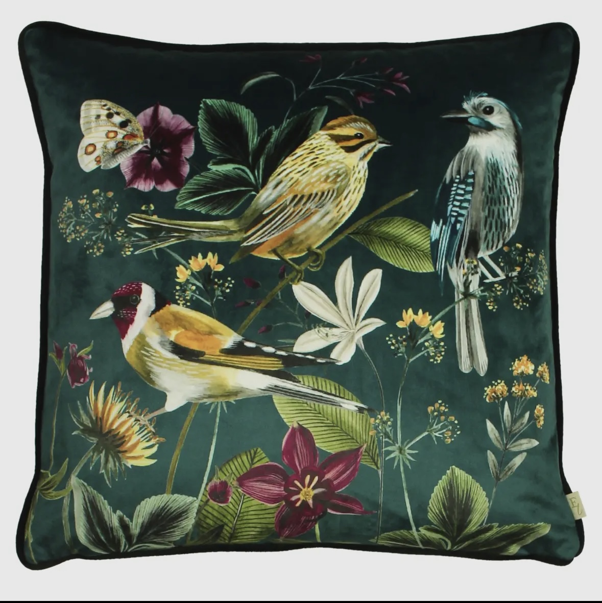 Midnight Vogel kussen