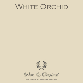 White Orchid