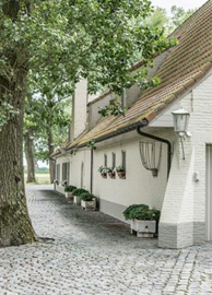 Calx Kalei ( de gladde muurafwerking )