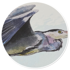 Blauwe reigers ansichtkaart