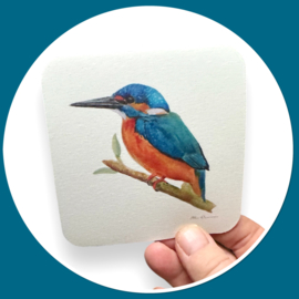 Onderzetters met vogels - aquarel illustraties 