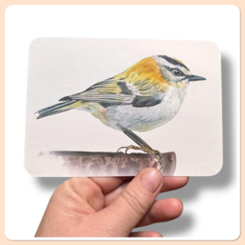 Vuurgoudhaantje kaart natuurpapier aquarel