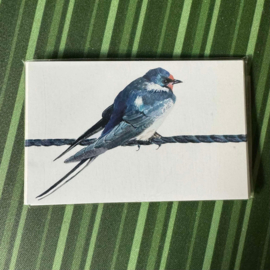 10 cadeaukaartjes zwaluw