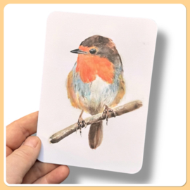 Roodborst kaart - het roodborstje in aquarel