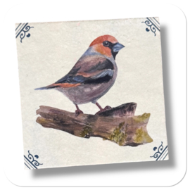 Appelvink - circulair tegeltje voor aan de wand