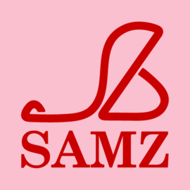 logo voorbeeld 2024