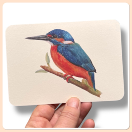 IJsvogel  kaart - het ijsvogeltje in aquarel