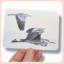 Blauwe reigers ansichtkaart