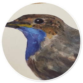 Blauwborstje vogelkaart aquarel