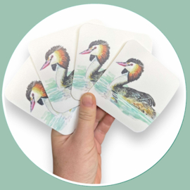 Fuut onderzetters aquarel