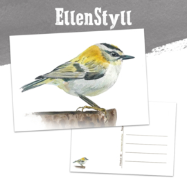 Vuurgoudhaantje kaart natuurpapier aquarel
