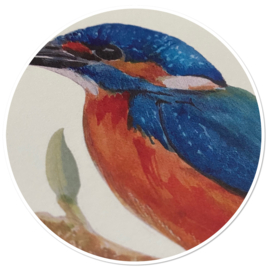 IJsvogel  kaart - het ijsvogeltje in aquarel