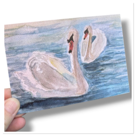 natuurillustraties aquarel kaarten