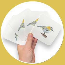 Vuurgoudhaantje onderzetters - aquarel onderzetter